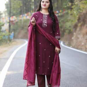 Stone Work Salwar Suit For Women Shopping online
